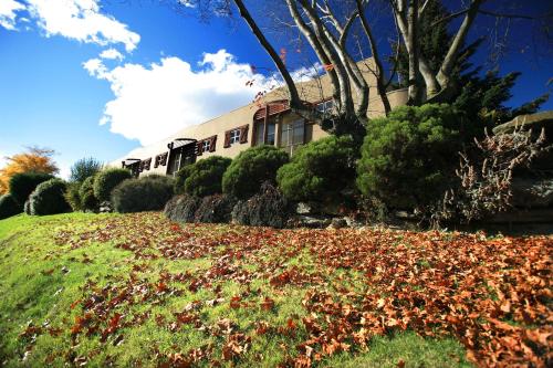 Cranbury Court Apartments Queenstown