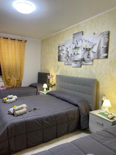 B&B Bovianum 1