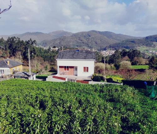 Casa familiar con finca privada (Orolterra) - A Lavandeira