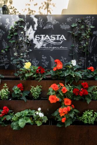 Der Stasta - image 9