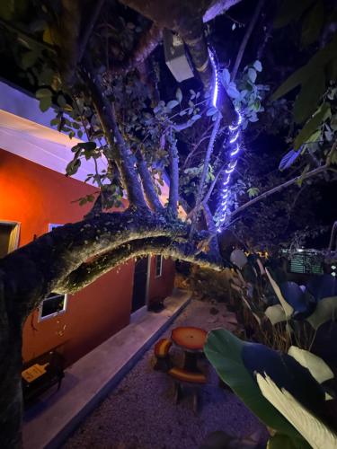 Cozy Scandinavi Guest room - Queen Bed, Free Netflix, Prime & Wi-Fi Near Bukit Mertajam near Pasar Raya Borong Pokok Sena