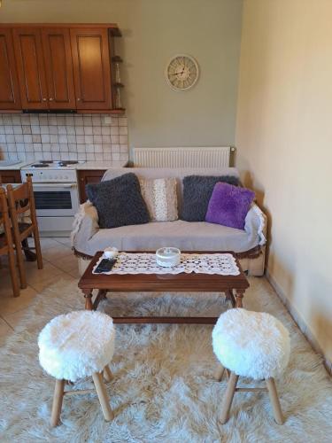 Konyha, Kontolati's Mountain House in Polydrosos