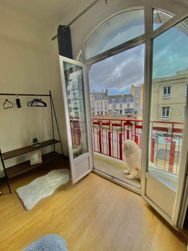 Le Cocon Briochin, grand appartement en plein centre de SaintBrieuc