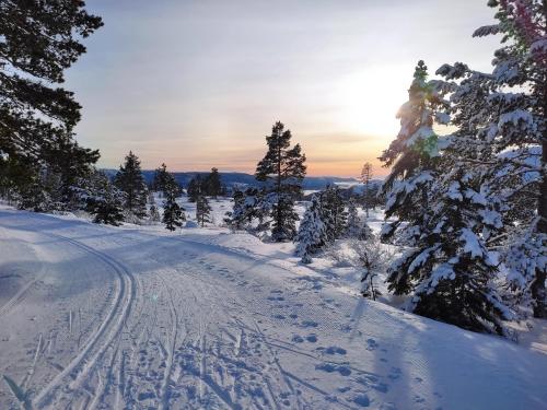 Hytte ved Vråvatnet i Vrådal