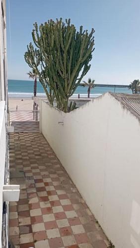 Apartamento Aimar Barbate