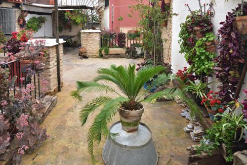 Casa Tenorio Barrio de Santa Cruz