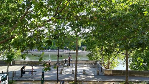 Lovely flat on the seine river - image 4