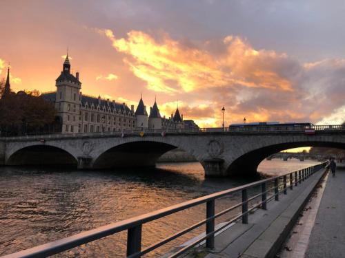 Lovely flat on the seine river - image 13