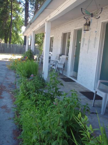 Forest Lodge Motel