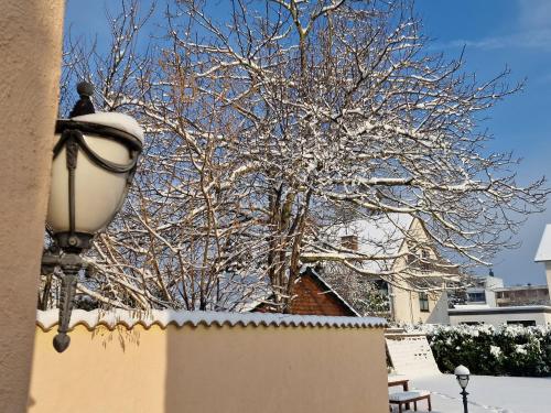 Arkadenschlösschen Bonn - image 13