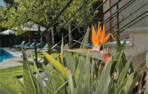 Holiday home Sóller Carrer Isabel - image 5