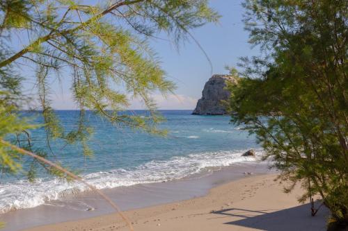 ALBATROS SUITE STEGNA BEACH ALBATROS SUITE STEGNA BEACH