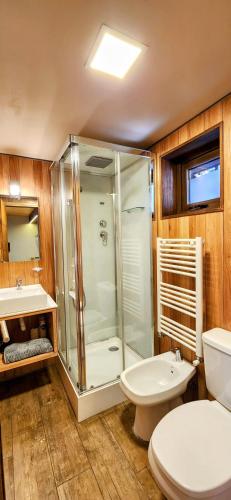 One-Bedroom Apartment image 7