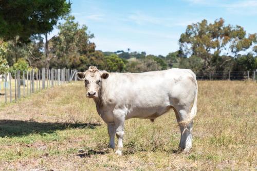 10BR Great Ocean farmstay for 20 people