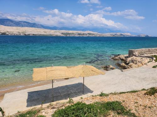 Secluded fisherman's cottage Cove Prnjica, Pag - 12620 in 柯蘭