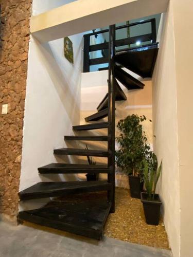 Manipa Loft