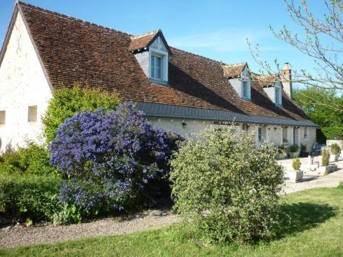 Charmant gîte avec jardin, 3 chambres, proche Tours et châteaux de la Loire - FR-1-381-561 gîte à louer Fondettes