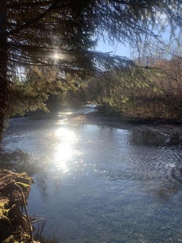 Bear Bottoms at Salmon Creek, Seward (fotografie 10)