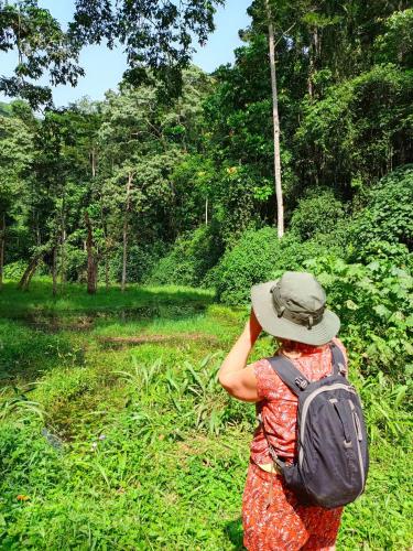 Bwindi Neckview Lodge