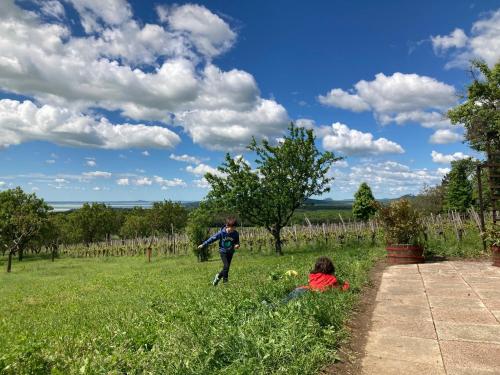 Holiday Home in Dörgicse Vineyard