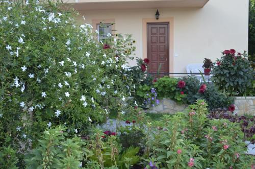 Lefki Studios, Lakithra (foto 6)