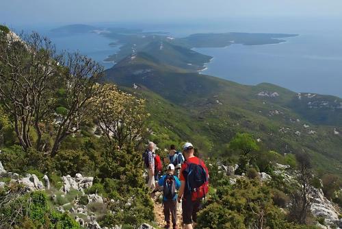 Ferienhaus zur Erholung am Meer Insel Cres, Losinj, Istrien + 2000qm Garten & Meerblick!