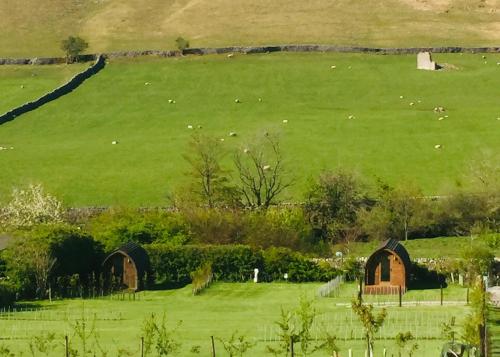 Wharfe Camp Glamping 3