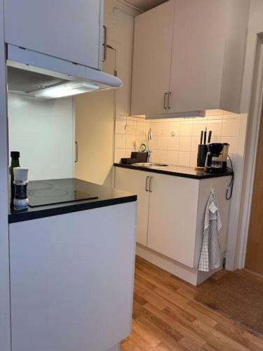 Lägenhet i centrala Lidköping - MyHostel (Lagenhet i centrala Lidkoping - MyHostel) in ลีดเชอพิงก์