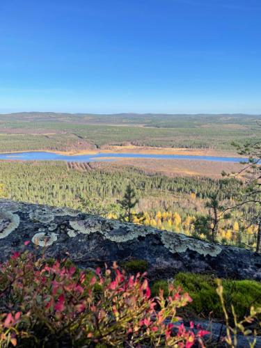 WALD Villas - Aavasaksa, Lapland