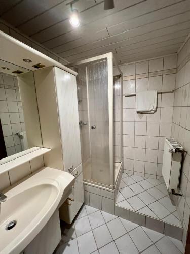 Zuhanyzó, Komfortable Monteurwohnung in Weiskirchen in Weiskirchen