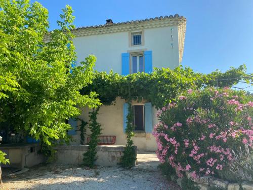 Le vieux Bounias - Pension de famille - Carpentras