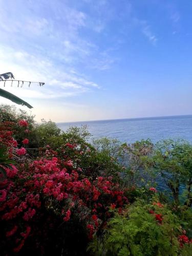 Private Deluxe Villa 20 m Infinitypool Ocean Front