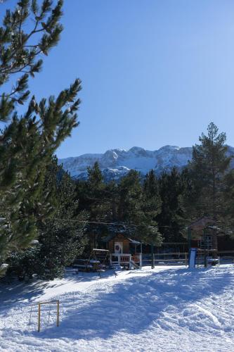 Vikendica Blidinje Horse Ranch - image 14