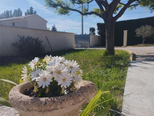 Maisonnette en campagne au calme - Location saisonnière - Carpentras