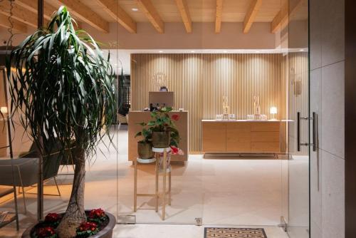 ล็อบบี้, Placeta Vella Turismo de Interior in อินกา