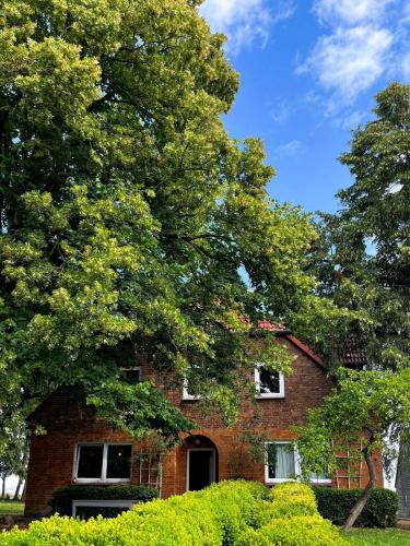 Cavalan Ranch in Wardow, Deutschland