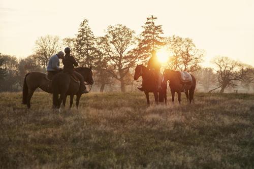 Cavalan Ranch in Wardow, Deutschland