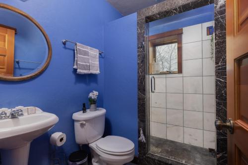 239 Aspen Meadows Rd Home - On Ski Hill Road 239 Aspen Meadows Rd Home - On Ski Hill Road