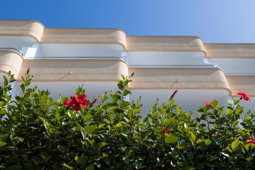 Hotel Spa Sagitario Playa - image 8