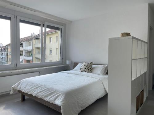 H95 Studios in Basel City with Basel Card, Basilea (foto 2)