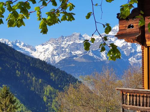 Magnifique Chalet Valérie 5 chambres à coucher & vue unique