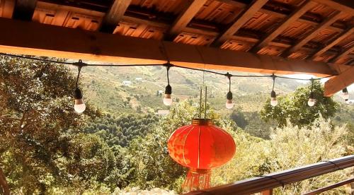 View, Farm co chu Tuan Ha in Me Linh