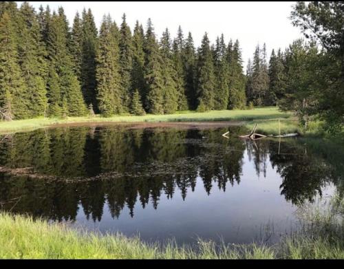 ЕКО СПА вила ОРЛОВЕЦЪ