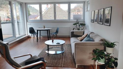 Ferienwohnung Ida - Apartment - Hornberg