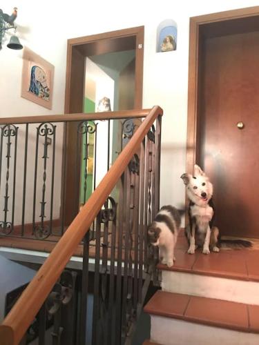 Monolocale A Modo Mio B&B