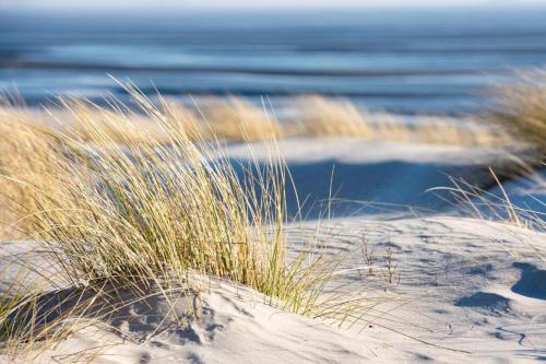Familienwohnzelt ZELT UND SAND direkt am Strand in Dranske, Deutschland