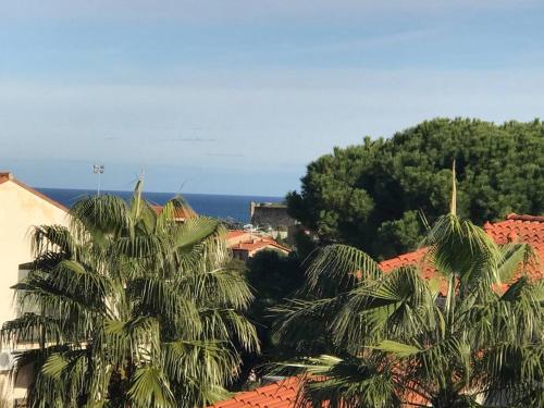 T2 2/6 p Clim vue mer piscine parking privé tout à pied - Location saisonnière - Collioure