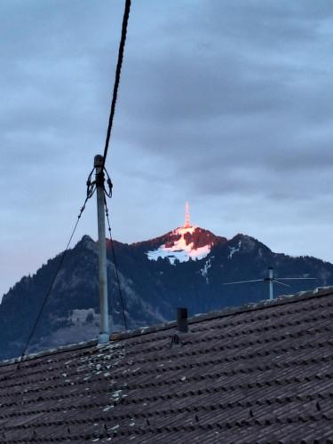 Hirsch Glück in Ofterschwang, Deutschland