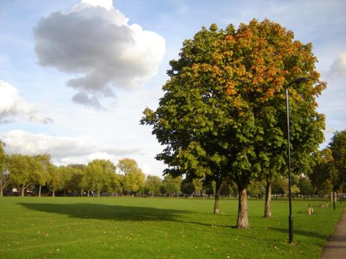 Exclusive 1 bedroom Apartment in Hackney! - image 13