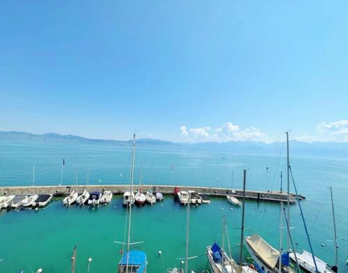 Appartement confortable avec vue sur le lac à la Frontière Suisse